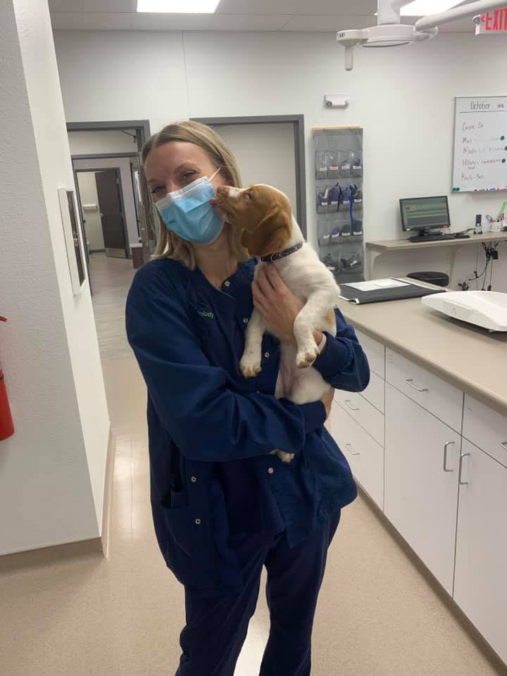 Veterinarian holding puppy